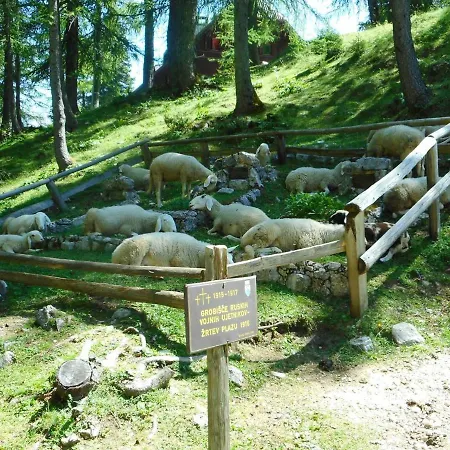 Erjavceva Mountain Hut At Vrsic Pass بيت ضيافة *