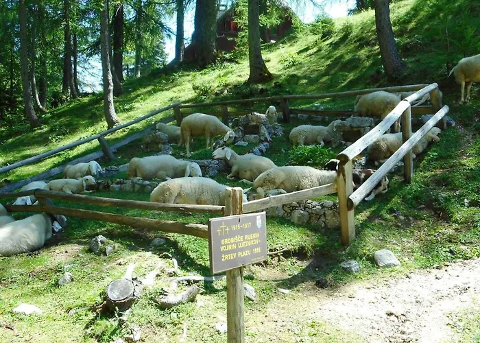 Erjavceva Mountain Hut At Vrsic Pass Hiša za goste *